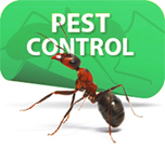 Pest Control